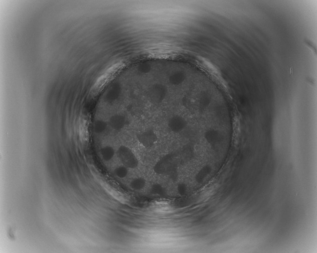 X0000100220114200805301355