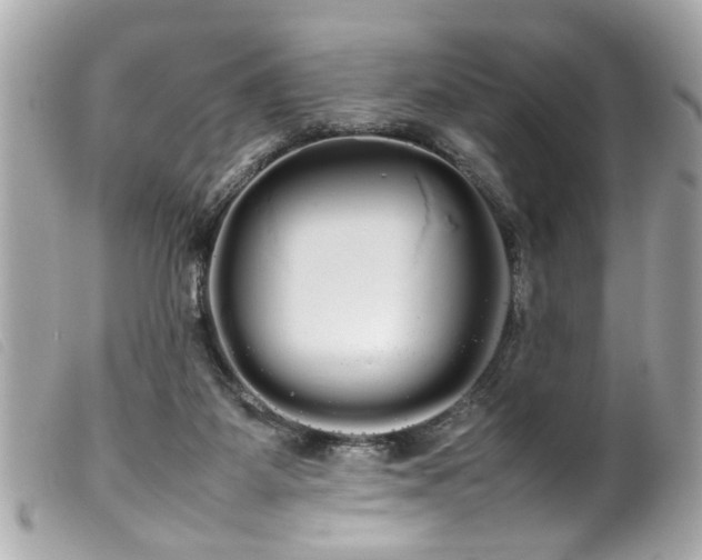 X0000100220115200805301355