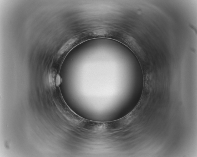 X0000100220116200805301355