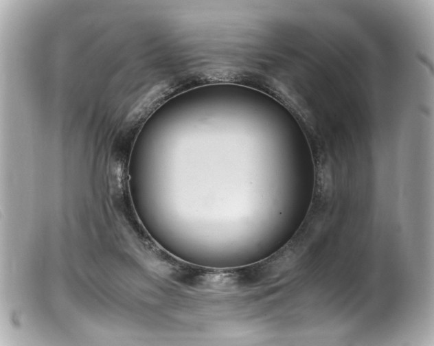 X0000100220117200805301355