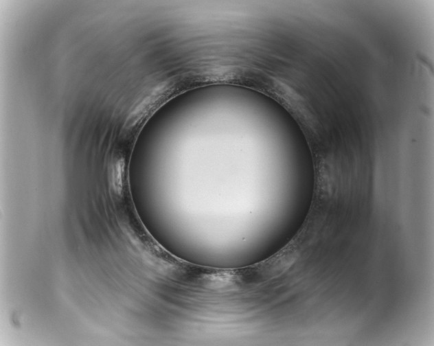 X0000100220118200805301355