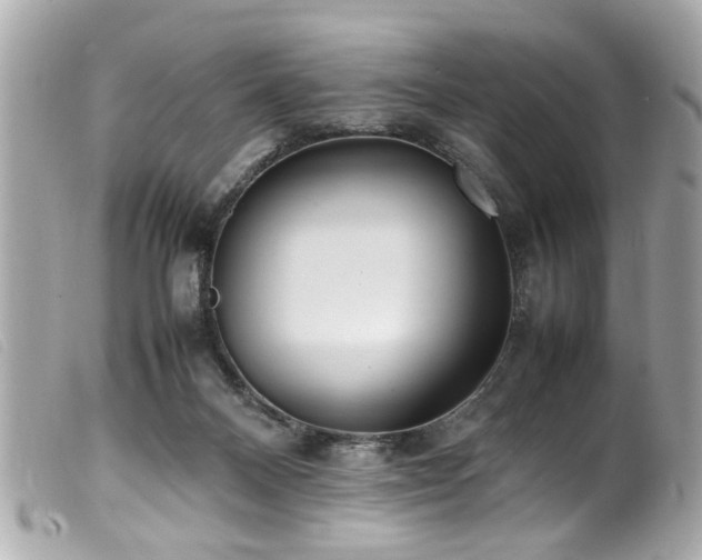 X0000100220120200805301355