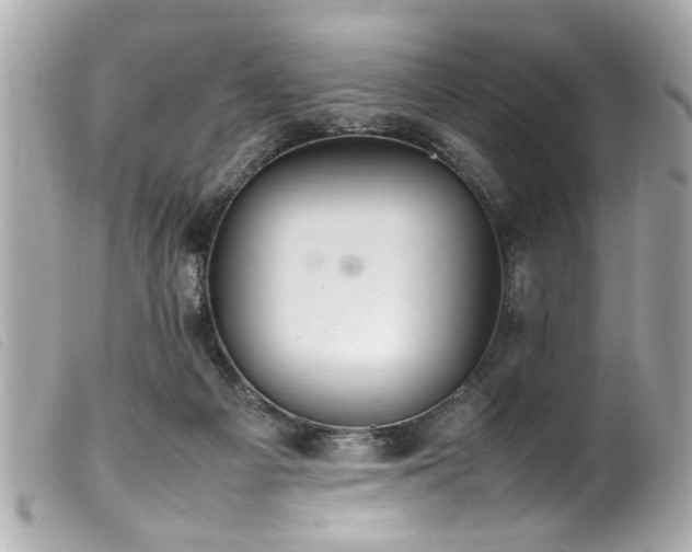 X0000100220121200805301355