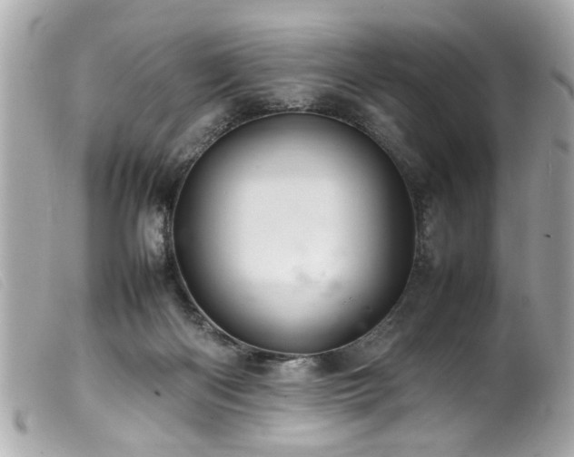 X0000100220122200805301355