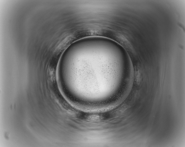 X0000100220123200805301355