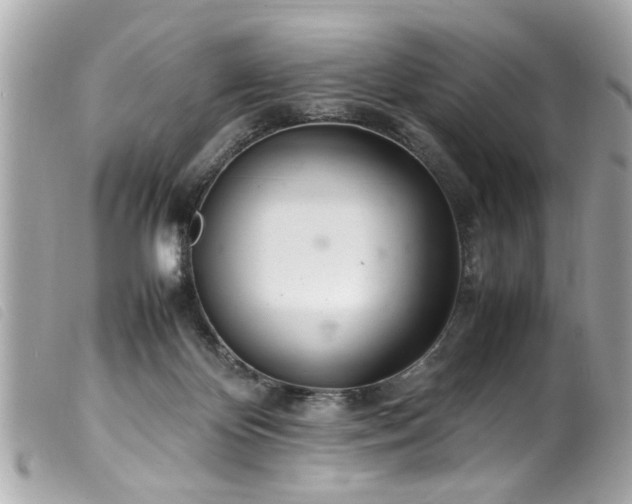 X0000100220124200805301355