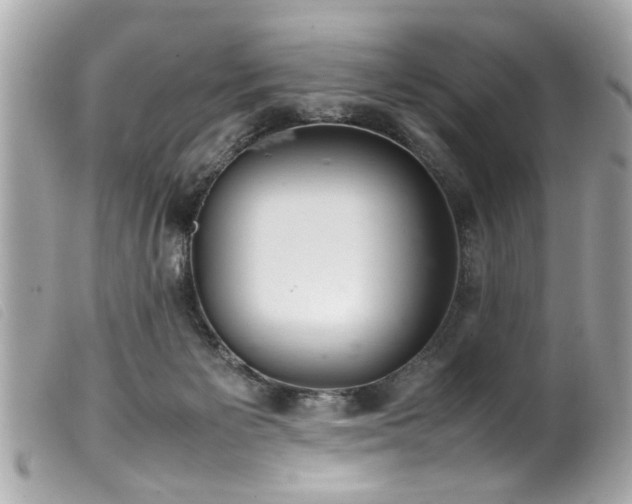 X0000100220125200805301355