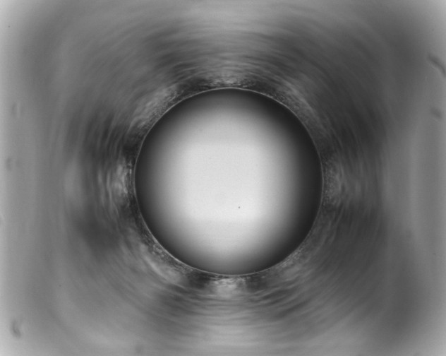 X0000100220126200805301355