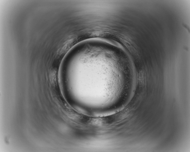 X0000100220127200805301355