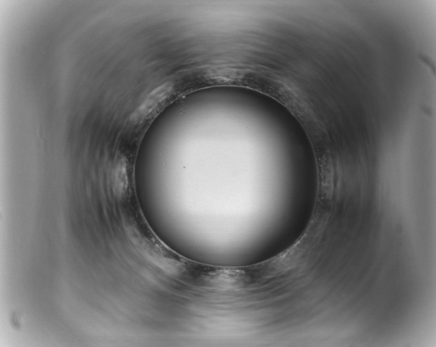 X0000100220128200805301355