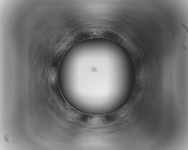 X0000100220129200805301355