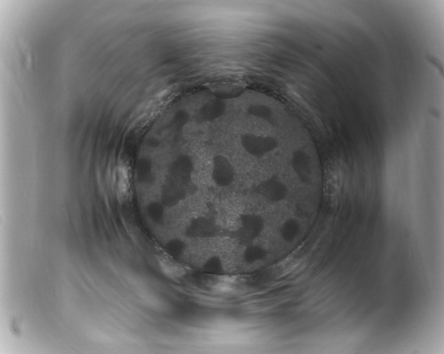 X0000100220130200805301355