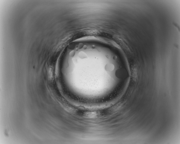 X0000100220131200805301355