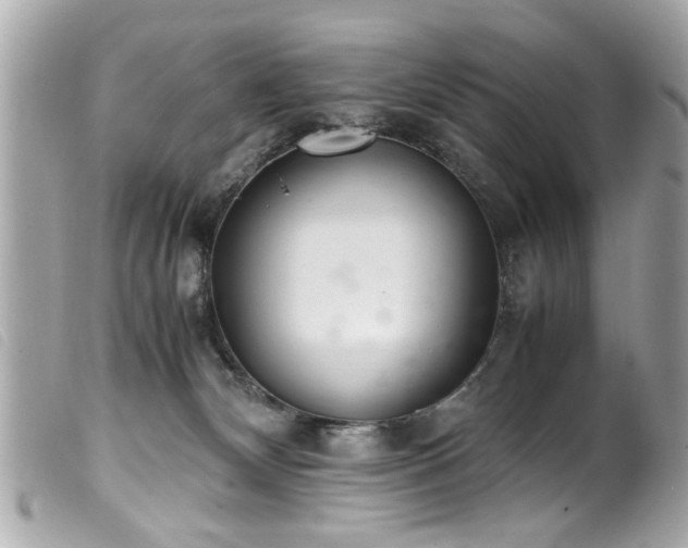 X0000100220132200805301355