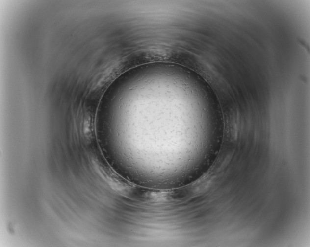 X0000100220134200805301354