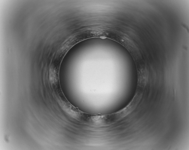 X0000100220136200805301354