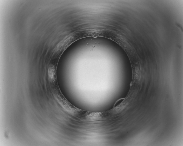 X0000100220138200805301354