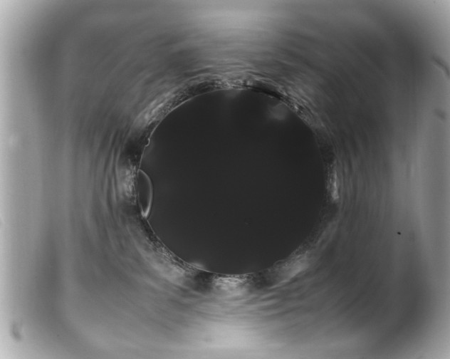 X0000100220139200805301354