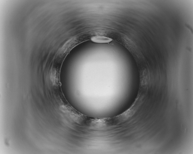 X0000100220140200805301354