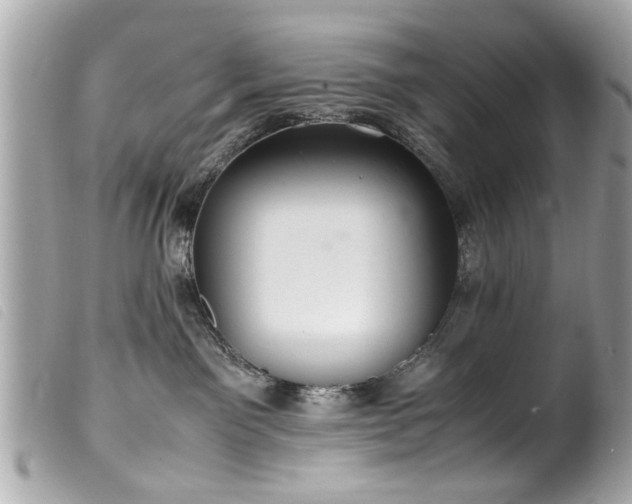 X0000100220141200805301354