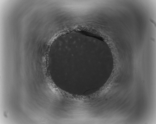 X0000100220144200805301354