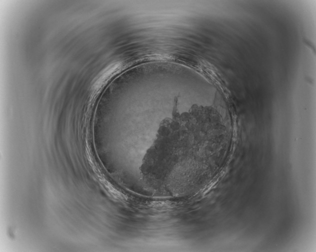 X0000100220145200805301354