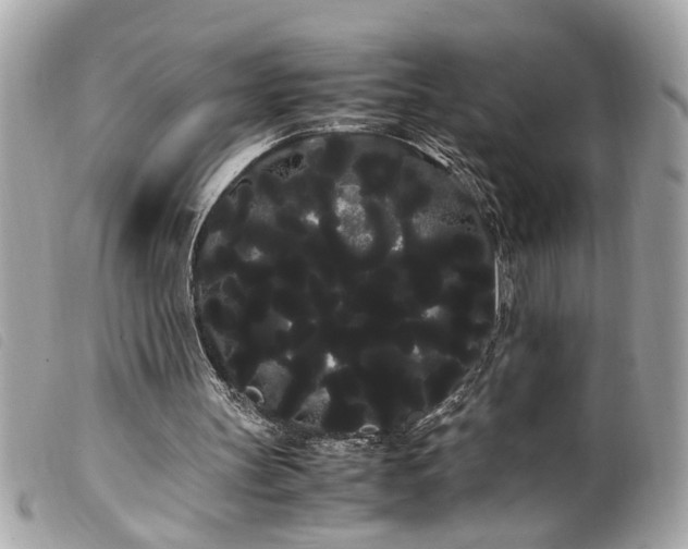 X0000100220147200805301354