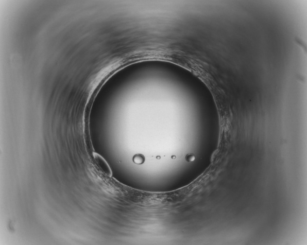 X0000100220148200805301354