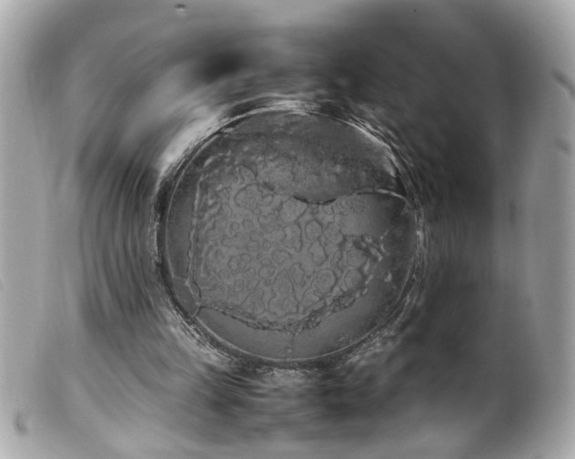 X0000100220149200805301354