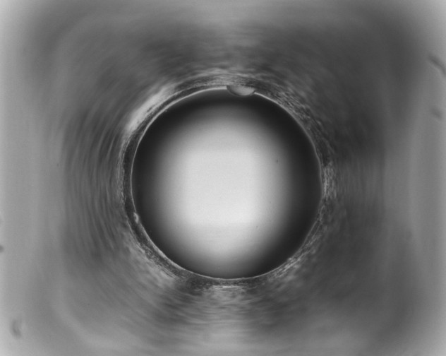 X0000100220150200805301354