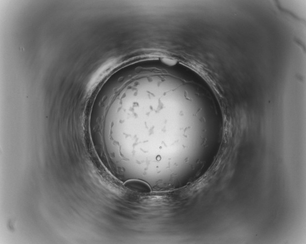 X0000100220151200805301354