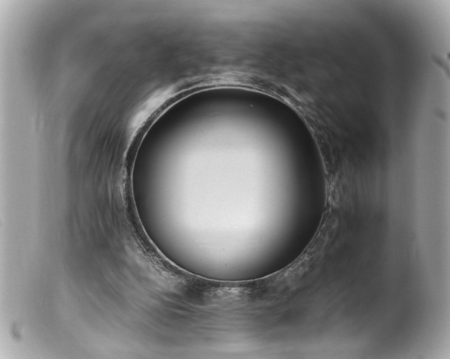 X0000100220152200805301354