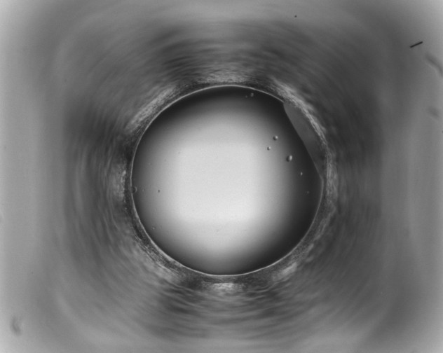 X0000100220153200805301354