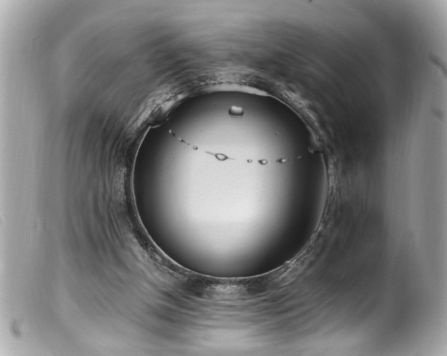 X0000100220154200805301354