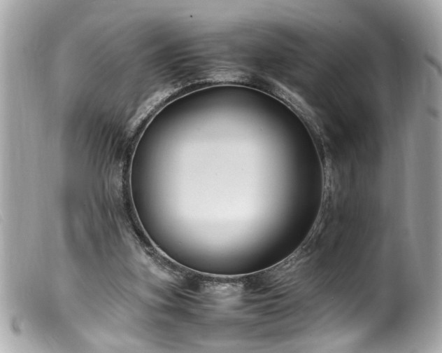 X0000100220155200805301354