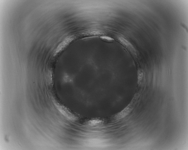 X0000100220158200805301354