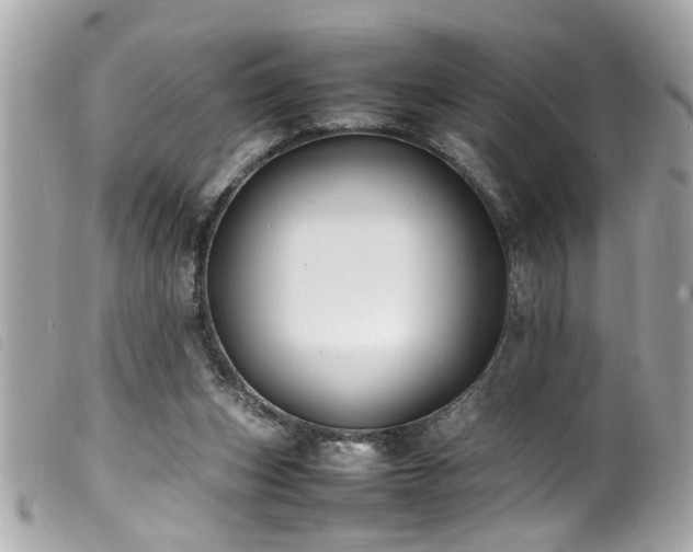 X0000100220159200805301354