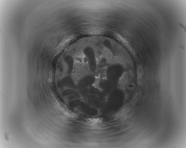 X0000100220161200805301354