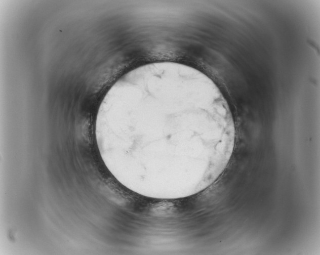 X0000100220162200805301354