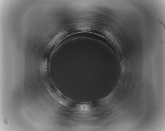 X0000100220163200805301354