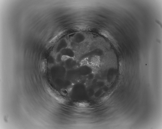 X0000100220165200805301354