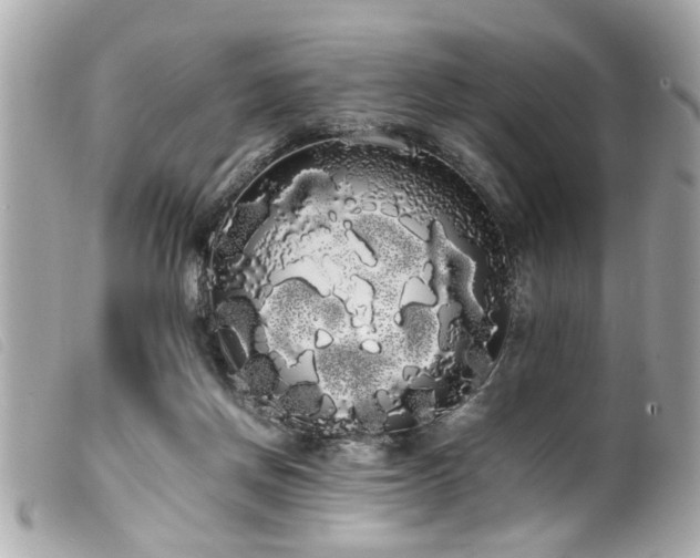 X0000100220166200805301354