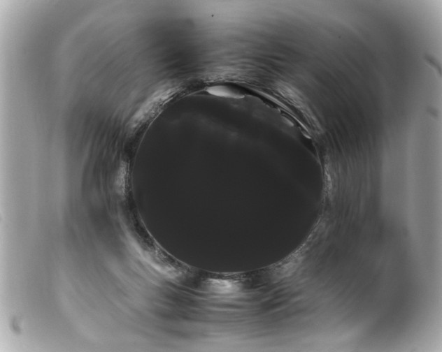 X0000100220167200805301354