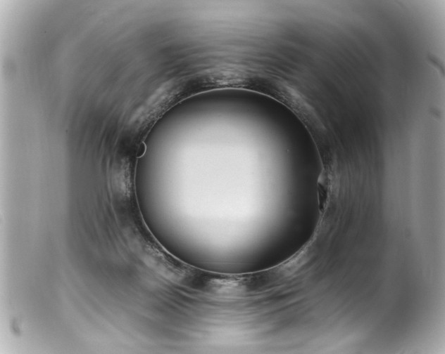 X0000100220170200805301354