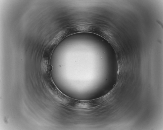 X0000100220171200805301354