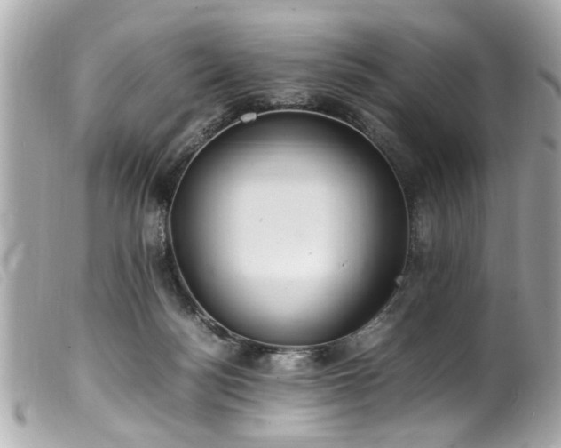 X0000100220172200805301354