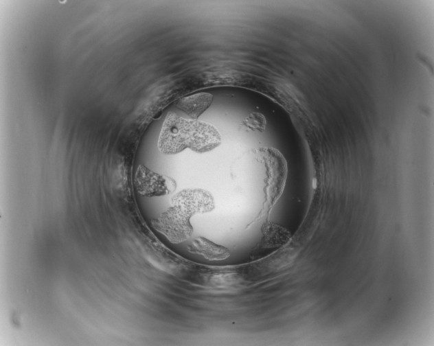 X0000100220173200805301354