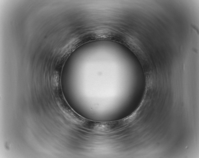 X0000100220174200805301354