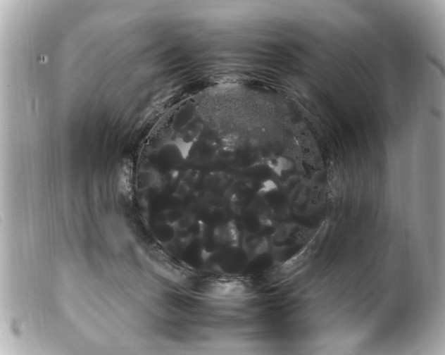 X0000100220175200805301354