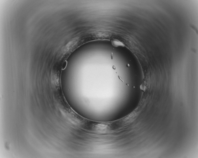 X0000100220176200805301354